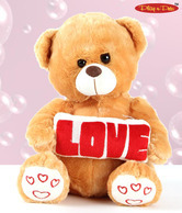 Play-n-Pets Love Bear Soft Toy