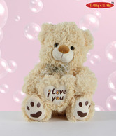 Play-n-Hairy Bear Soft Toy