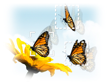 http://www.samsung.com/hk/htmlfeature/images/DC/ES90/ES90_06.jpg