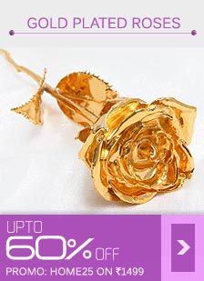 Gold Plated Roses